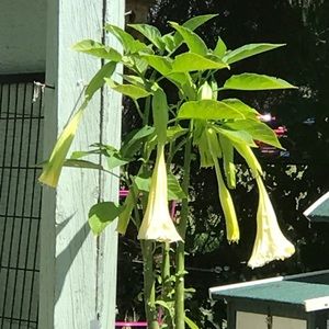 Meet your Posher, Denise